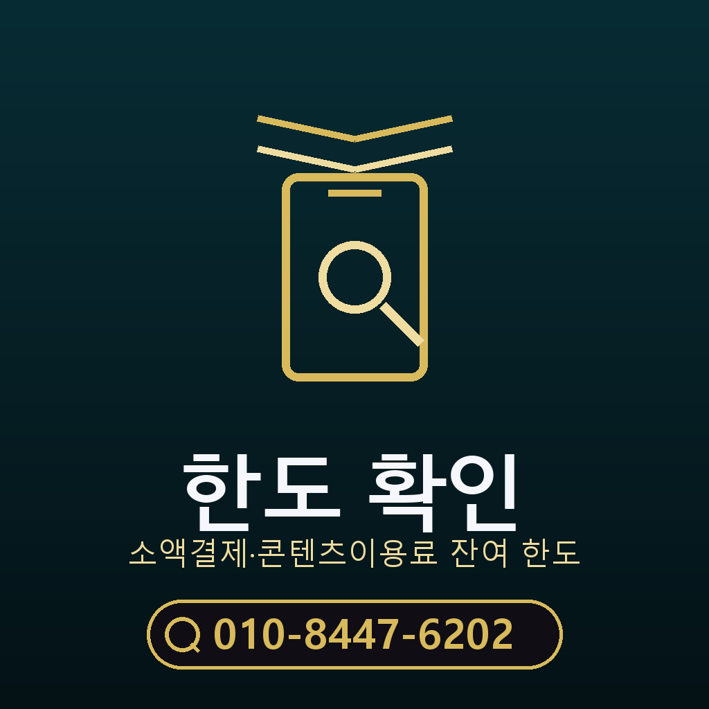소액결제 한도 확인